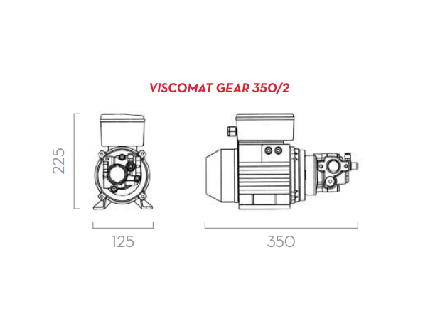 Насос для масла электрический шестеренчатый Piusi Viscomat Gear 350/2 M F0030401D, 9 л/мин,  220В-вольт