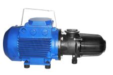 Насос для перекачки дизельного топлива Ливгидромаш Бурун Н1В 2,5/4-М0,75/4, 25 л/мин, 220В