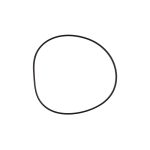 Манжета крышки цилиндра отжима 185х3.55мм (O-RING G TYPE)