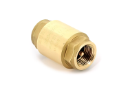 Обратный клапан 1''