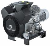 Компрессорная головка Atlas Copco LT 5-30 Pack Unsilenced, прямой привод, 4 кВт, 380В