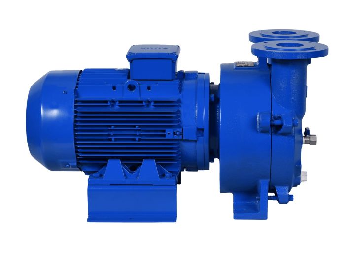 Водокольцевой вакуумный насос моноблочный Dalgakiran GUCUM GMVP 230/090, 190м3/час, DN50, чугун