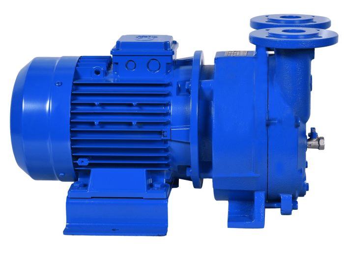 Водокольцевой вакуумный насос моноблочный Dalgakiran GUCUM GMVP 120/050, 52м3/час, G1", нерж.сталь AISI 316